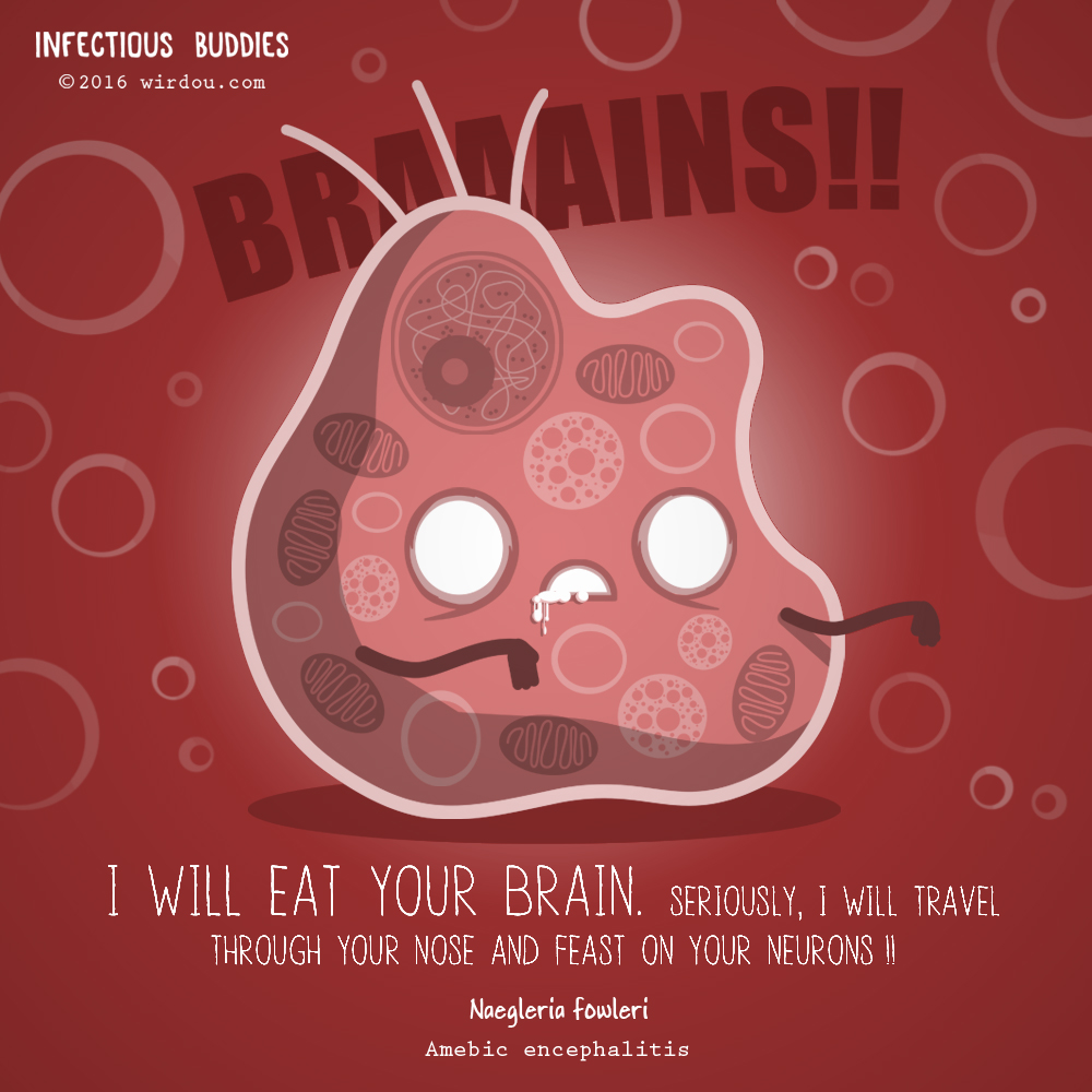 Eat brain. Naegleria can eat your Brain.